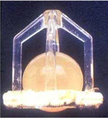 Figura III.7.- Sustituto mitral Starr-Edwards, 1960 