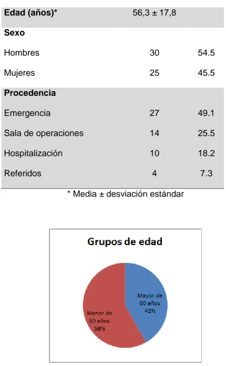 Figura 1. Grupos de edad de los pacientes fallecidos en la Unidad de  Cuidados Intensivos del Hospital Nacional Hipólito Unanue en el 2015 