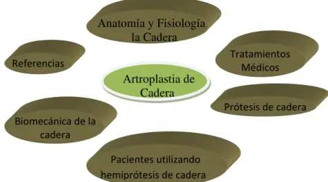 Figura II.1.- Organización del capítulo  