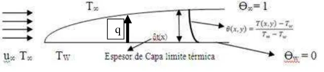 Figura 1.- Capa límite Térmica. 