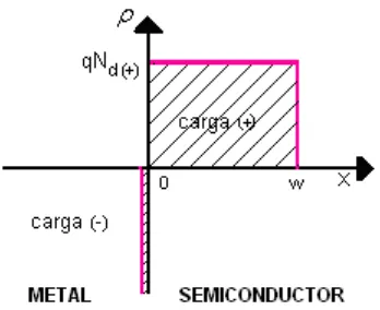 Figura 2.4 Densidad de carga bajo aproximación abrupta en la interfase metal-semiconductor.