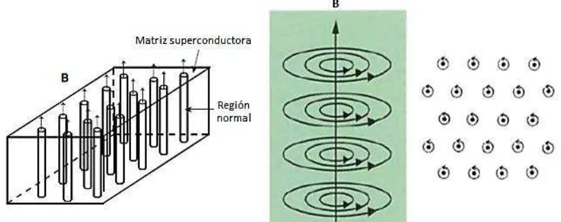 Fig. 1.6   Comparación entre los superconductores tipo I y tipo II. Izq. Muestra la diferencia de  haber flujo en su interior y seguir siendo superconductor