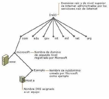 Figura:  Ejemplo de un espacio de nombres de dominio 