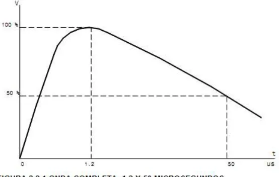 figura 2.2.1.  