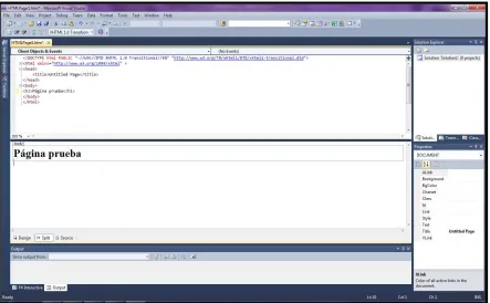 Figura 3.5.a;  Imagen de IDE CodeWarrior. 
