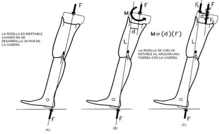 Figura 4.4: L´ınea de carga