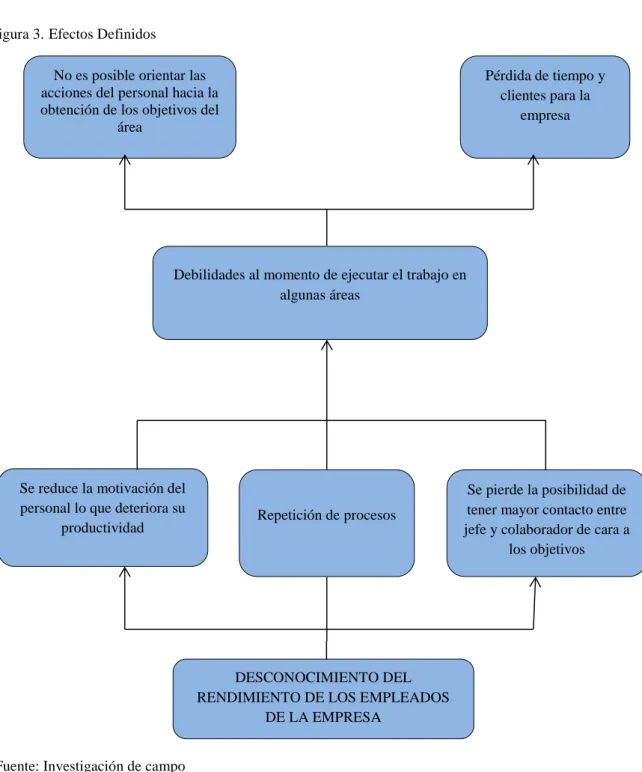 Figura 3. Efectos Definidos
