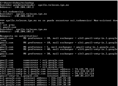 Fig. 3.6.1-1 Resolución del servicio DNS 