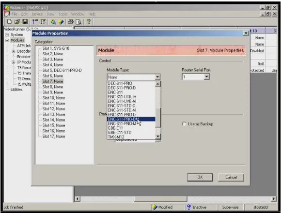 Figura 3.12  Ventana Module Properties. 