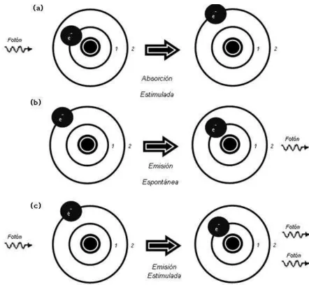 Figura 2.4. Representación esquemática de los procesos de interacción entre los átomos y 