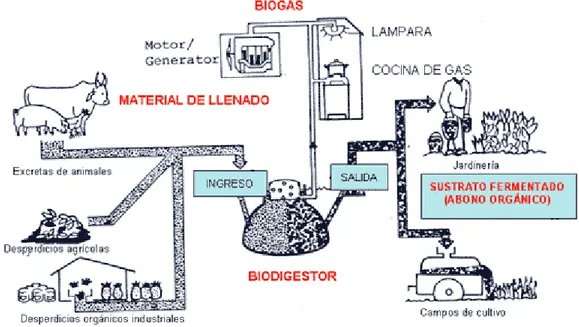 Tabla 3.1.1.4. Volumen de biogás dependiendo de tipo de residuos.  Tipos de residuos orgánicos                    Volumen de Biogás 