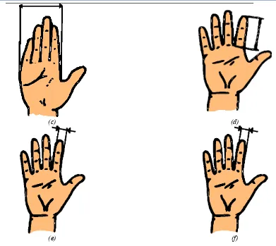 Figura 2.13.- Dimensiones antropométricas de la mano. a) Longitud de la mano, b) longitud de la palma,  c)ancho de los metacarpianos, d)longitud del dedo índice, e) ancho del dedo índice proximal,  f) ancho del dedo índice distal(Pedro et al., 1999)