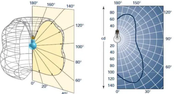 Fig. 1.6 (a) Sólido fotométrico de una lámpara incandescente. 