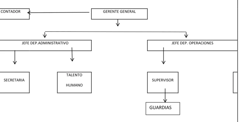 GRÁFICO 5 ORGANIGRAMA Rapsecurity Cia Ltda.