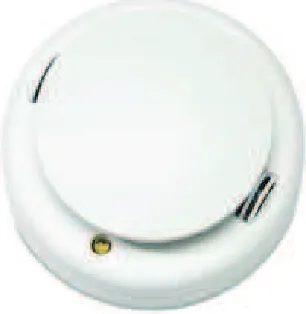 Figura 1.13 Detector de térmico 