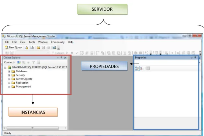 Fig. 22 Ambiente de Programación de Microsoft SQL Server 2008 