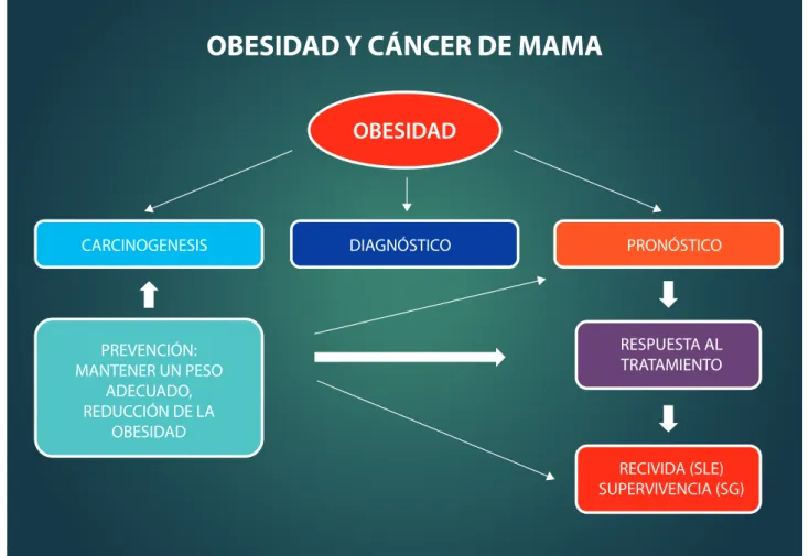 Gráfico 4.  Modelo interactivo de obesidad y cáncer de mama. 