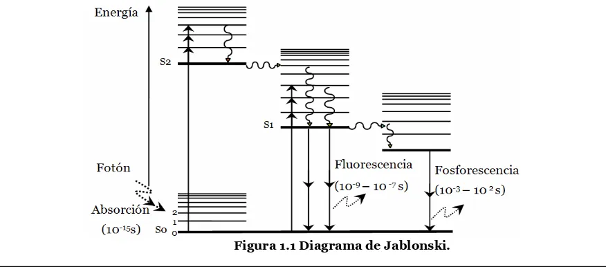 Figura 1.1 Diagrama de Jablonski.