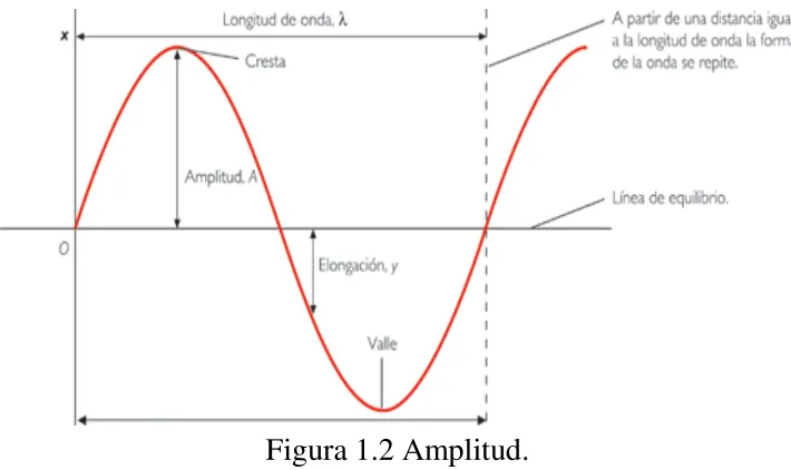 Figura 1.2 Amplitud. 