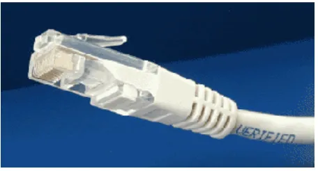 Figura. Terminal de cable Ethernet 