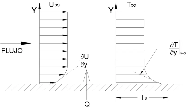 Figura 1.1: Perfiles de velocidad y de temperatura en un fluido cerca de una pared.   
