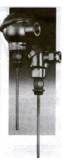 Figura 2.23  Funda y cabezal en un RTD 