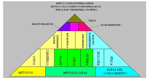 Figura 1. 1 Pirámide conceptual, muestra los principales conceptos  a utilizar en el desarrollo de la tesis