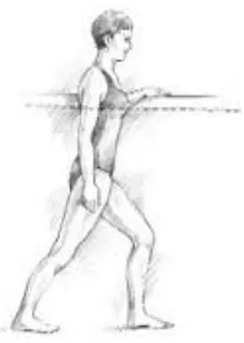 Figura  2.7: Movimiento basico flexión de la cadera 