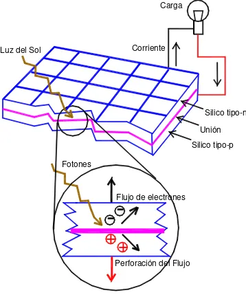 Figura C1.2 El efecto fotovoltaico en una celda solar. 