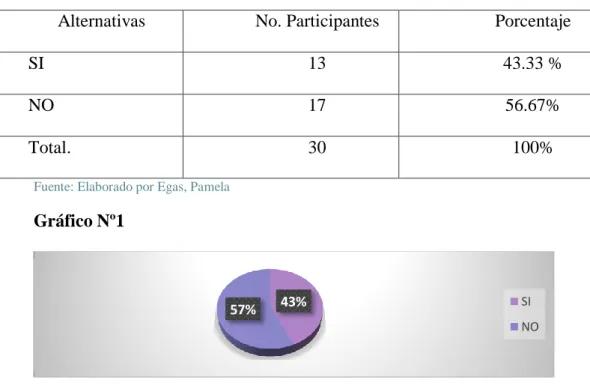 Gráfico Nº1 