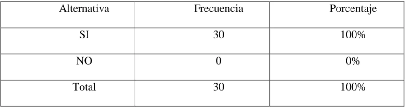 Gráfico Nº 9 