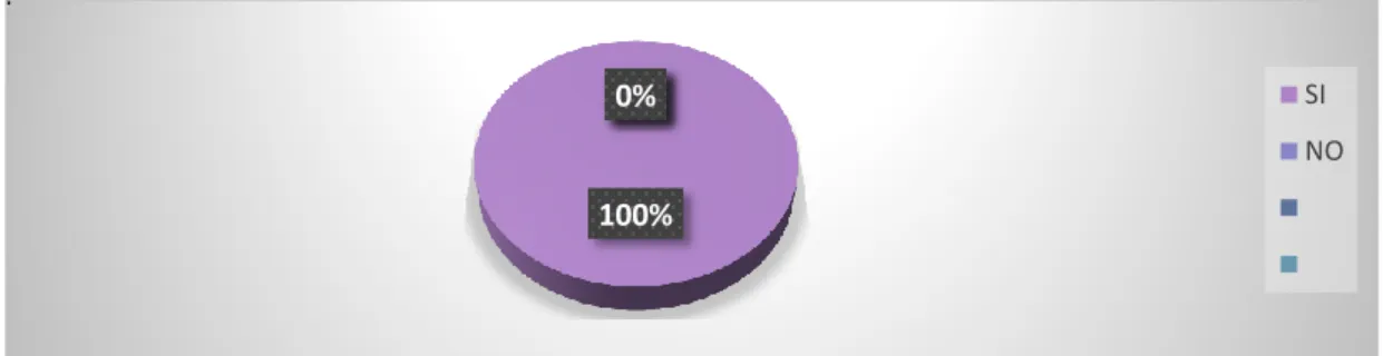 Gráfico Nº 10  100% 0% 0% 0%  SI NO