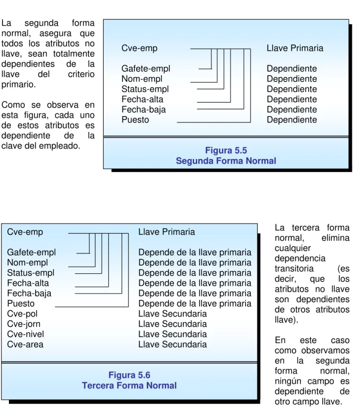 Figura 5.6  Tercera Forma Normal