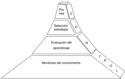 Fig. 2.4 Modelo jerárquico metacognitivo de Tobias y Everson (2002) 