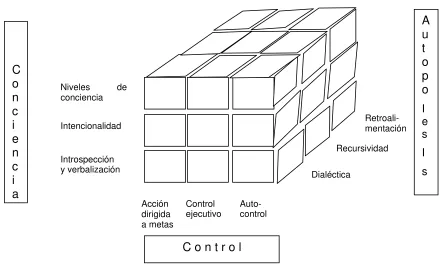 Fig. 2:5 Modelo de componentes metacognitivos propuesto por Mayor et al. (1993). 