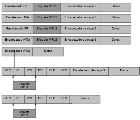 Figura 5. Resumen de las técnicas de encapsulación de MPLS. 