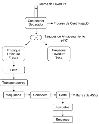 Fig. 2.3. Diagrama a Bloques del Proceso de Fabricación.  