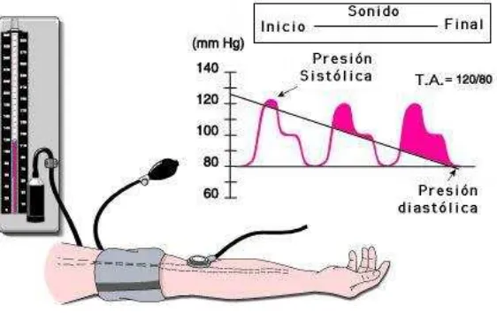 Figura 1 Técnica de medición de la presión arterial 