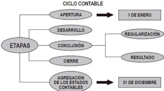Figura 1: Ciclo Contable 