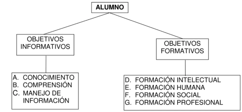 fig. 2.2  Esquema de elementos que rigen la formación del alumno 