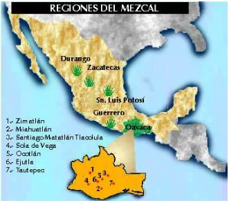 Figura 1.2. Regiones del mezcal dentro de Oaxaca. 