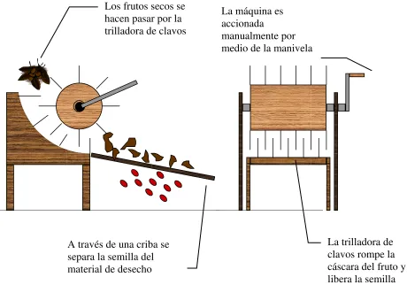 Fig. 15. Máquina trilladora manual. 