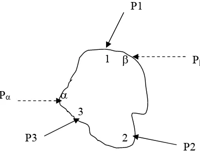 Fig. 2.4 Cuerpo en equilibrio bajo cargas P2 