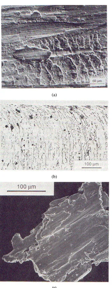 Fig. 2.12 Fotografías del daño causado por el desgaste adhesivo. 