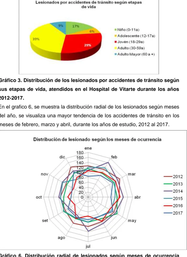 Gráfico  6.  Distribución  radial  de  lesionados  según  meses  de  ocurrencia  de los accidentes de tránsito