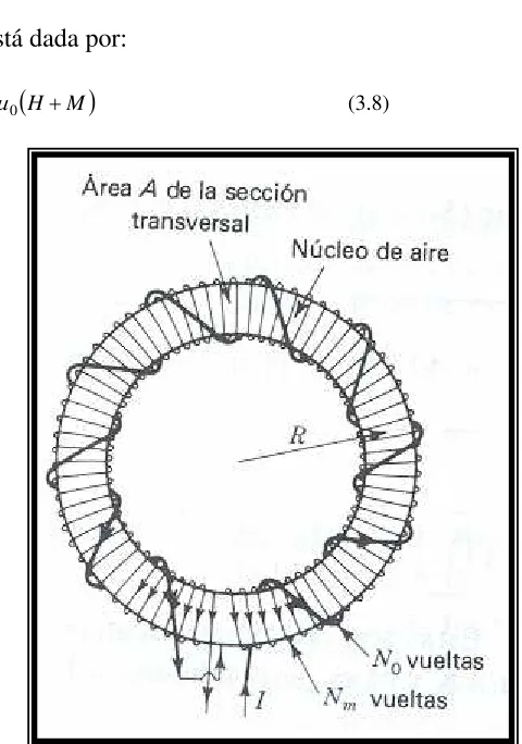 Figura 3.4. Toroide con N 0 vueltas de devanado burdo (que produce B 0) y N m vueltas de devanado fino que produce B m