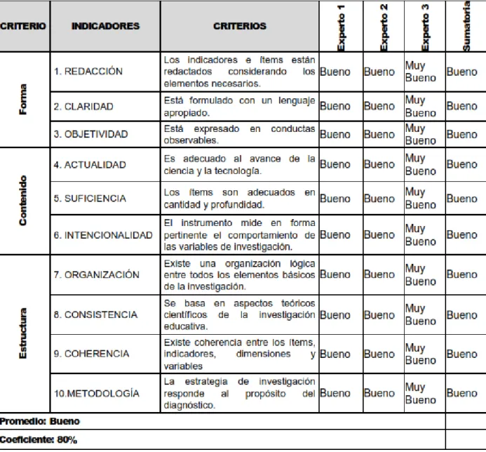 Tabla N° 11: Opinión de expertos 