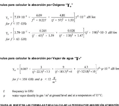 FIGURA 40. MUESTRA LAS FORMULAS PARA CALCULAR LA PERDIDA POR ABSORCIÓN ATMOSFÉRICA  