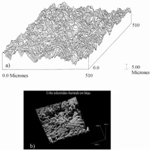 Figura 2.4. Dos superficies rugosas, observadas en escalas diferentes. (a) superficie de cobre pulida en arena[2.15], cuando las µ