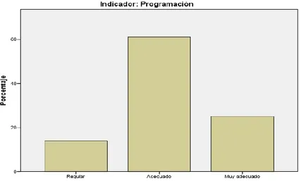 Figura N°  6. Sobre el indicador Programación Indicador: Programación 